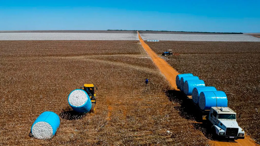PIB do Mato Grosso mantém tendência de crescimento nos últimos anos.