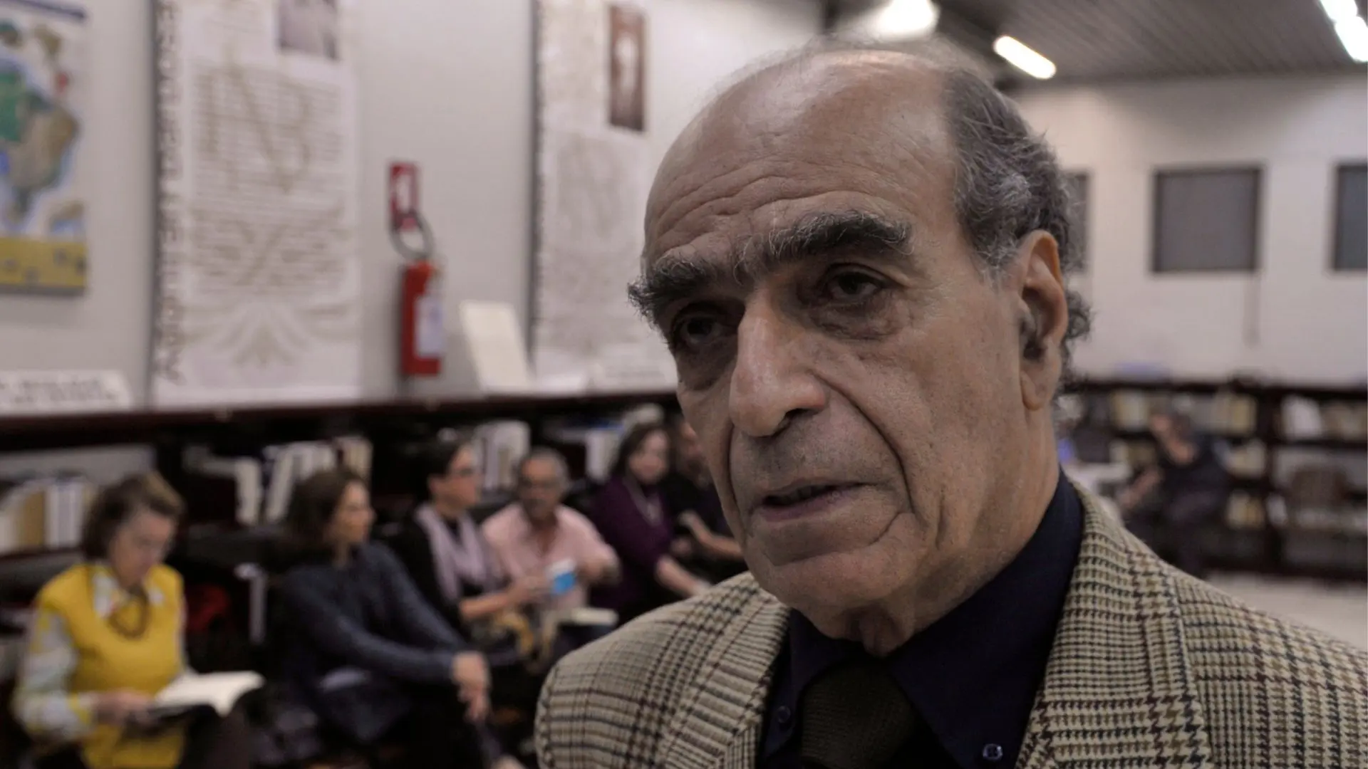 AFFONSO ROMANO DE SANT'ANNA