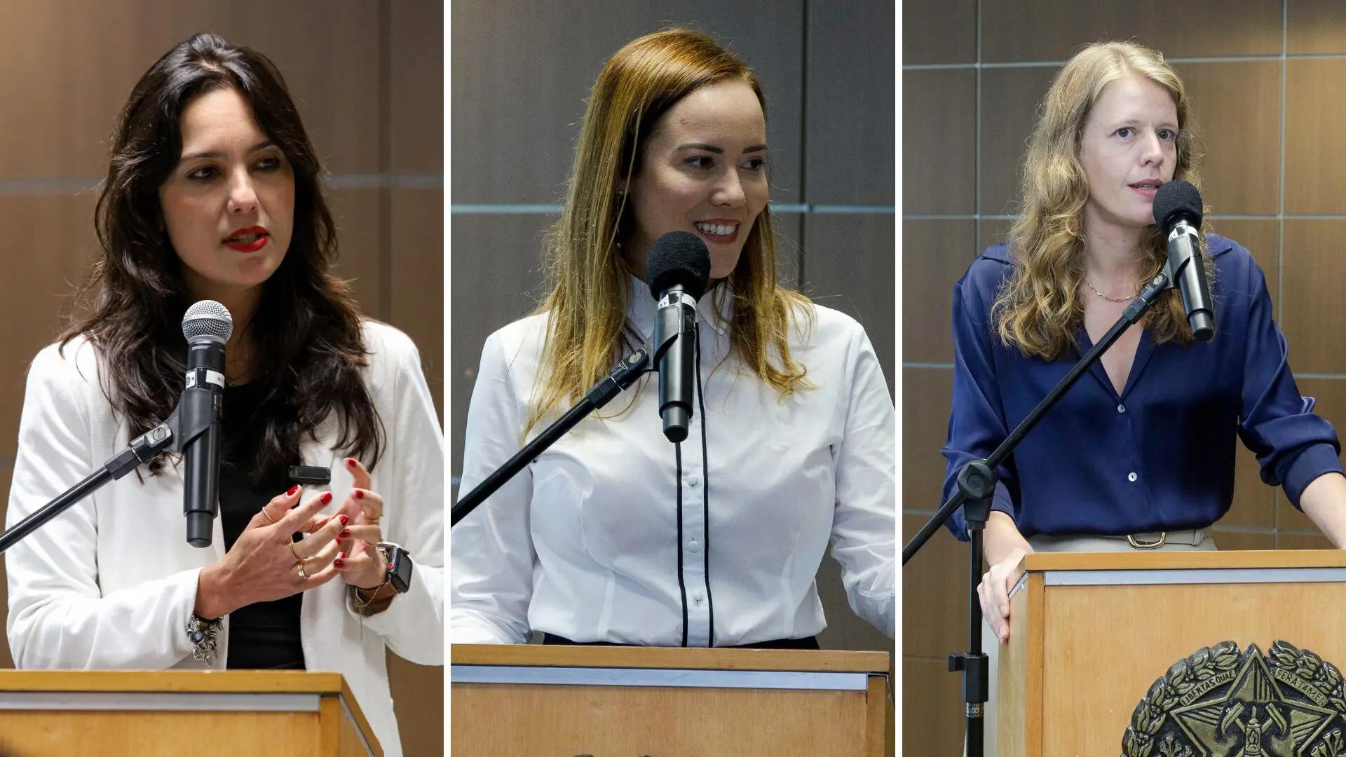 Mila Corrêa, Sílvia  Listgarten e Luísa Barreto ocupam cargos de liderança no primeiro escalão do governo Zema. 