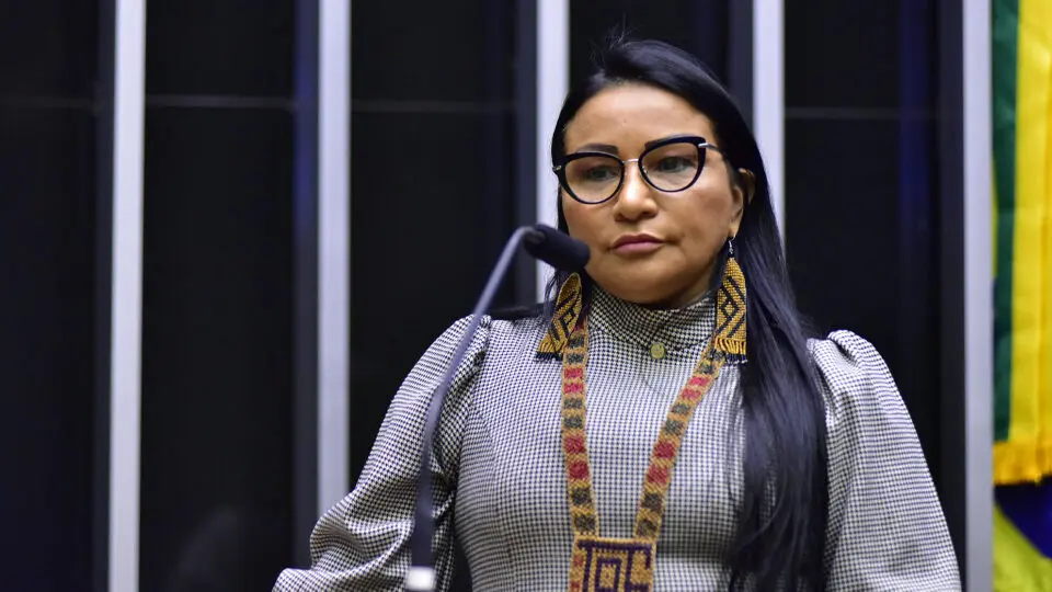 Deputada Silvia Waiãpi (PL-AP).