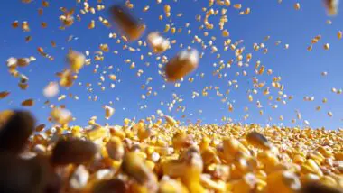 Tributação Agronegócio