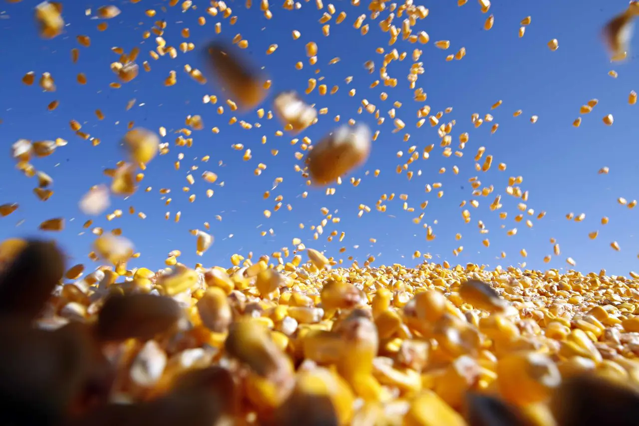 Tributação Agronegócio