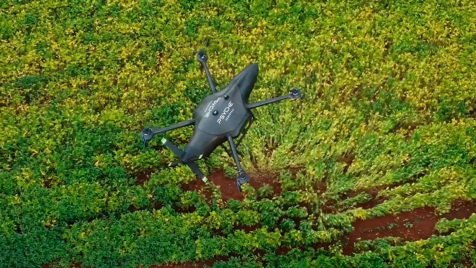 Drone da Psyche, criadora do "ChatGPT do Agro"