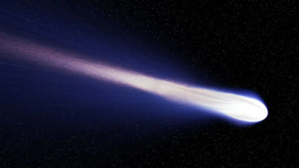 POLÍTICA COMETA