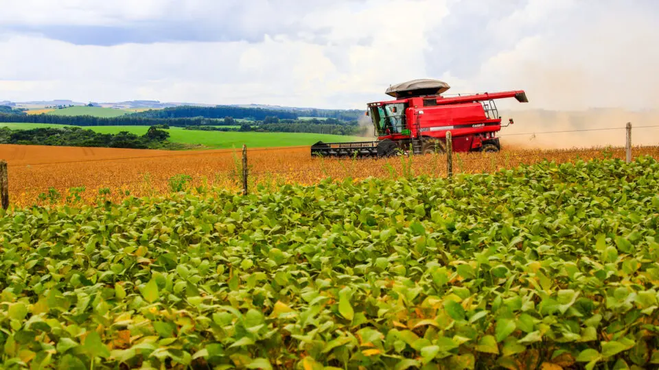 Agronegócio investe em conectividade para reduzir desperdício e aumentar eficiência