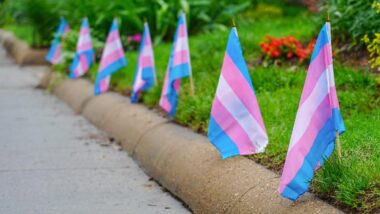 Bandeiras do orgulho trans em Washington, DC. (Foto: Ted Eytan/Flickr/ Reprodução) Imagem referente a matéria