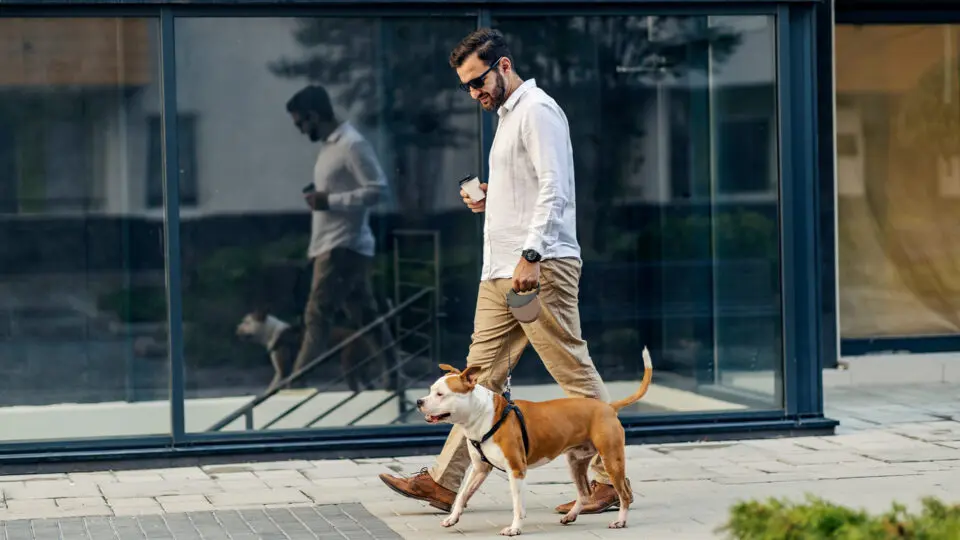 O Meu Pet Club é um dos principais planos de saúde pet do Brasil e já atende as maiores seguradoras do país e grandes marcas