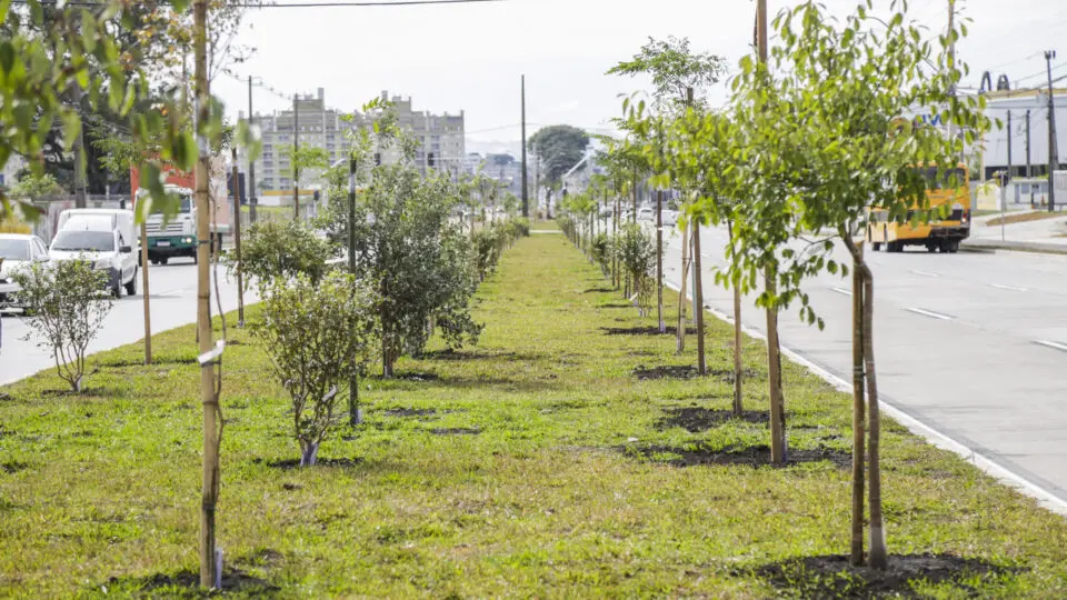 Trecho requalificado e modernizado da Avenida Victor Ferreira do Amaral, no Tarumã, melhora a mobilidade na ligação com a vizinha Pinhais