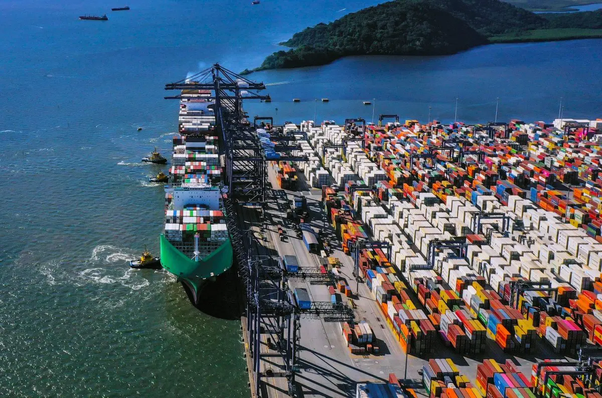 Exportação de carne TCP