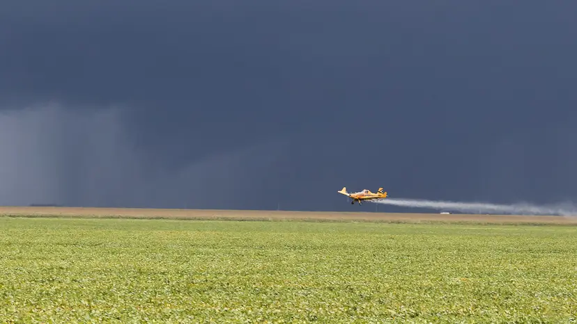 Lei da Reciprocidade vira "carta na manga" contra barreiras ao agro brasileiro