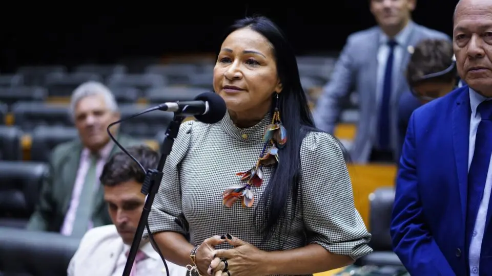 Silvia Waiãpi