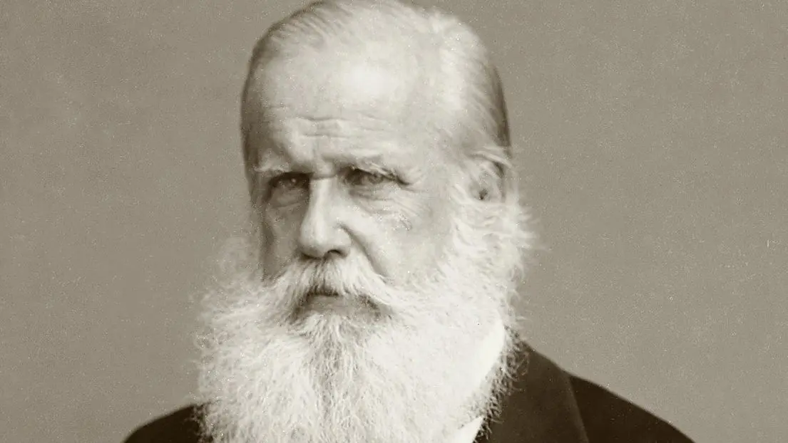 Retrato de D. Pedro II feito em 1885