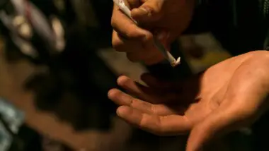 drogas, governo, cartilha, polícia