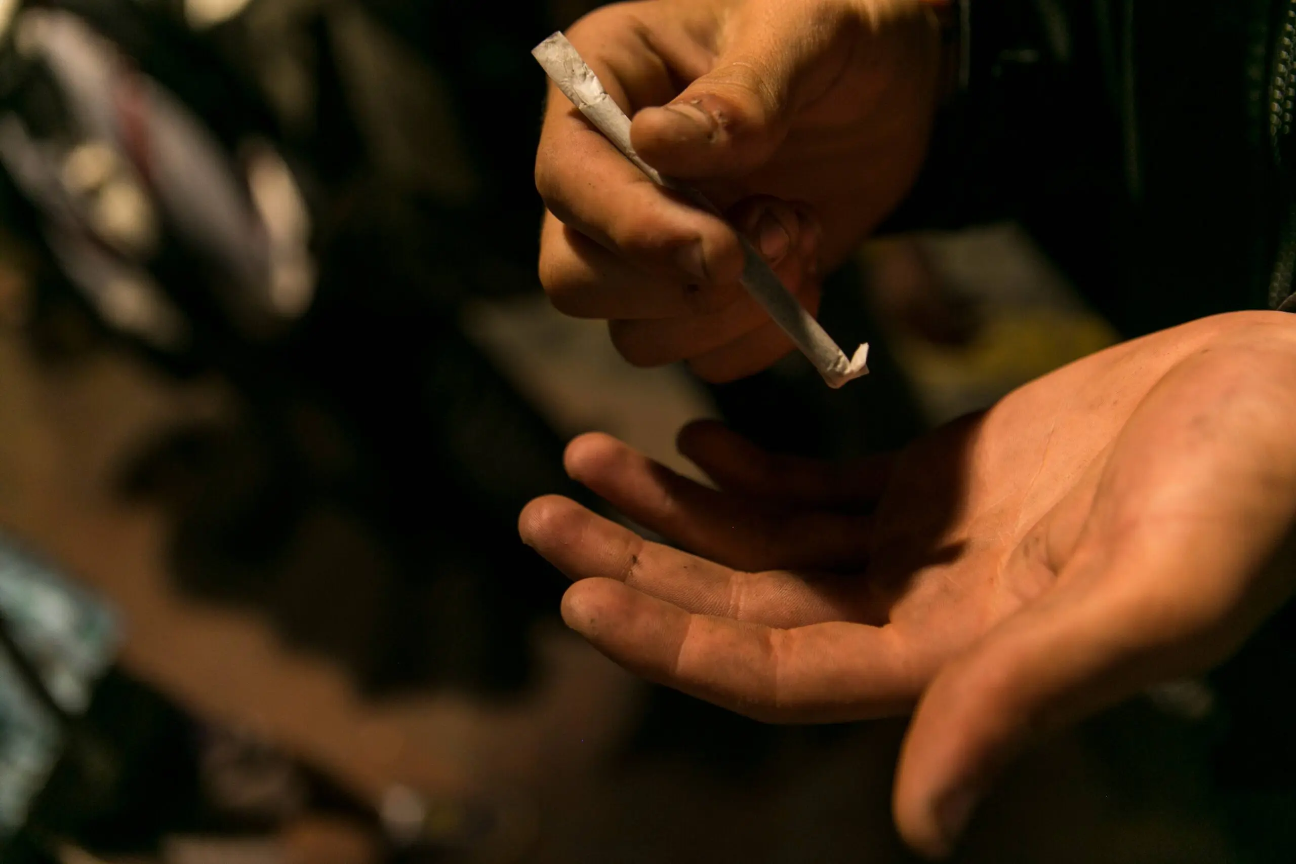 drogas, governo, cartilha, polícia