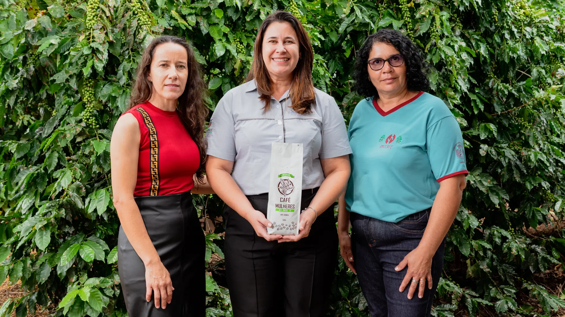 Nira Sousa, primeira presidente da Amucafé; Cintia Souza, extensionista do IDR Paraná e coordenadora do Programa Mulheres do Café; e Maria Maciel, atual presidente da associação: grão especial produzido no Norte Pioneiro do Paraná é exportado para 12 países europeus.