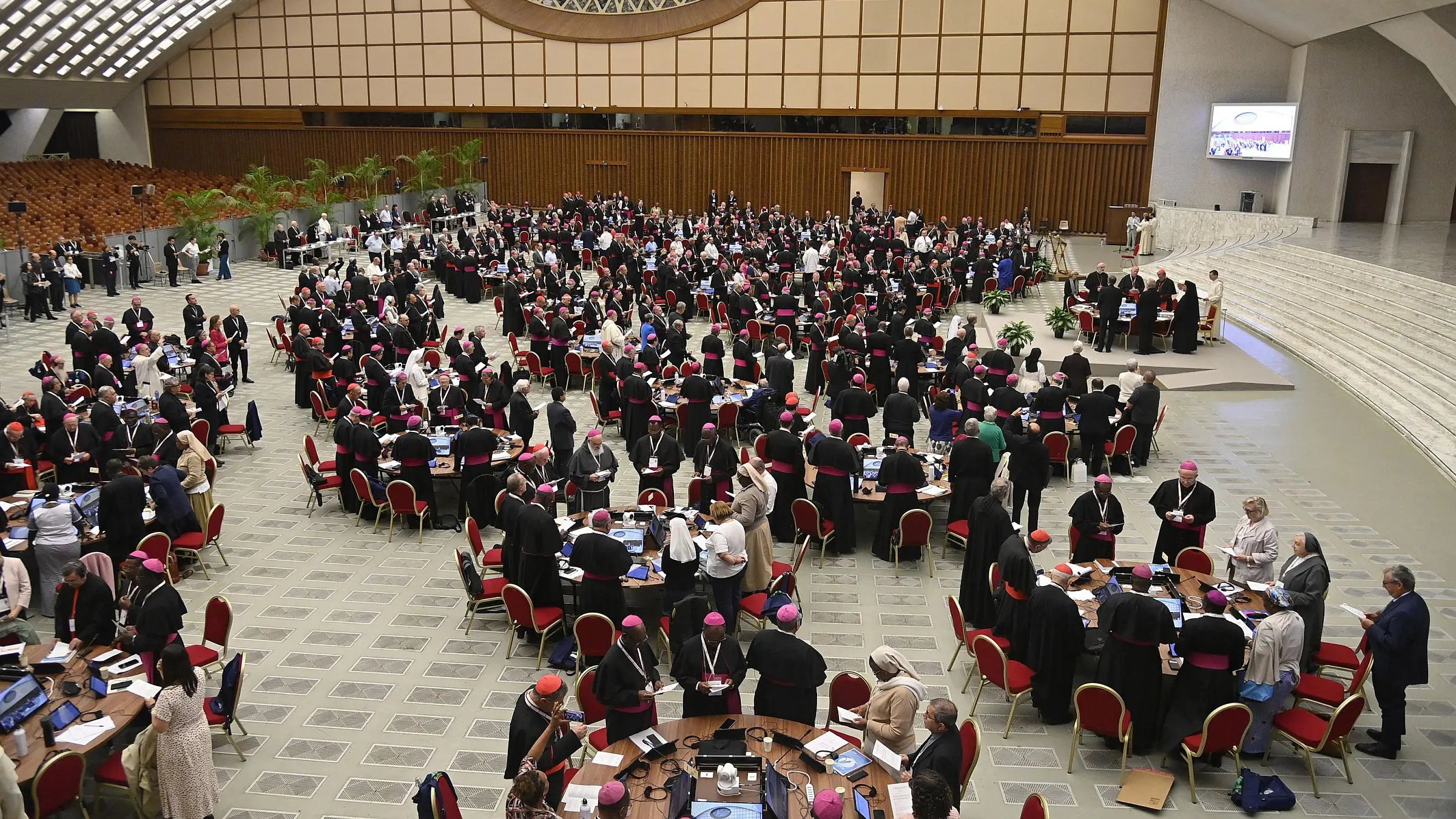 sínodo da sinodalidade