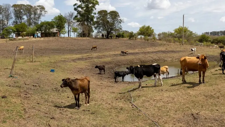 Agro gaúcho pressiona governo federal