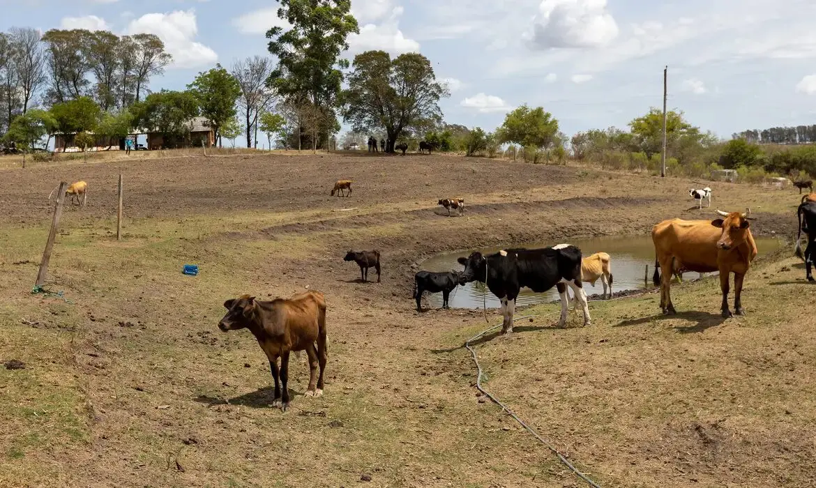 Agro gaúcho pressiona governo federal