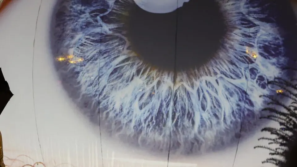 Foto de um olho de cor azul. Os olhos humanos foram essenciais no experimento de descoberta da nova cor Olo.