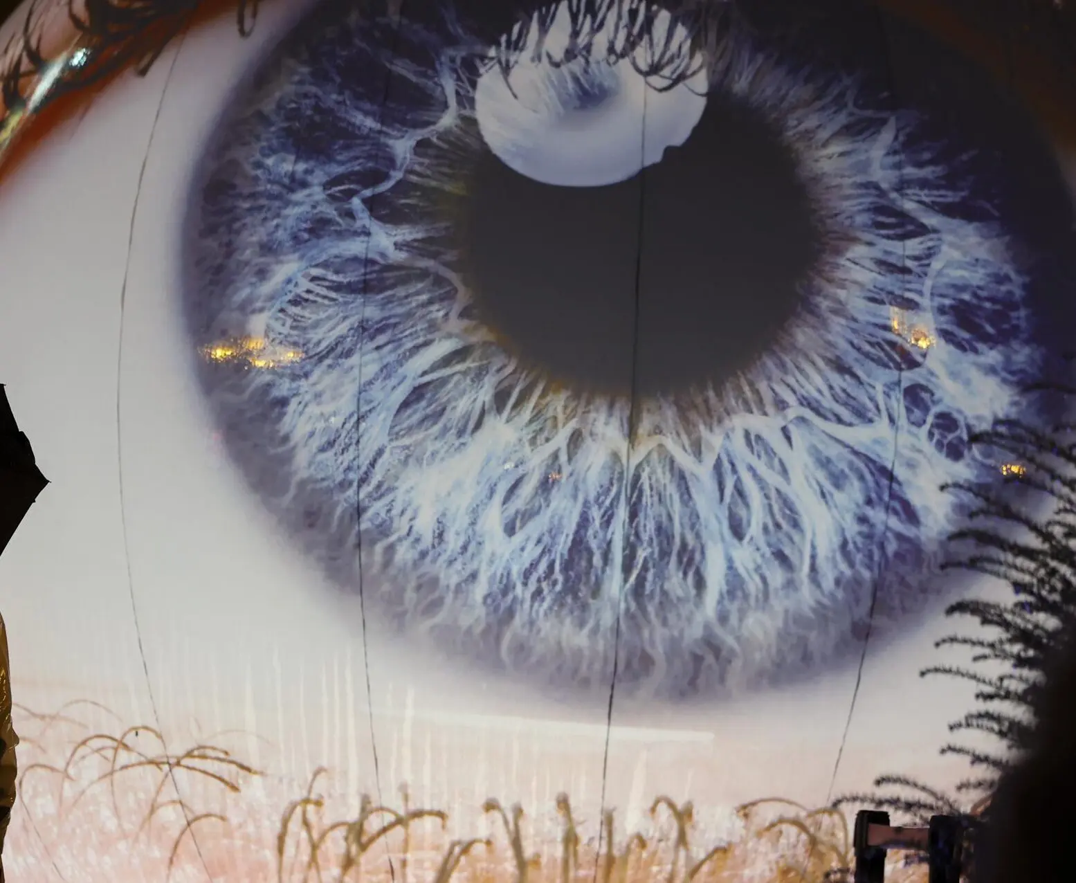 Foto de um olho de cor azul. Os olhos humanos foram essenciais no experimento de descoberta da nova cor Olo.