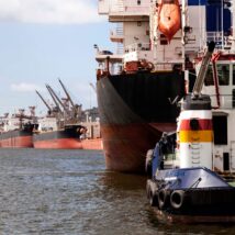 Imagem referente a matéria