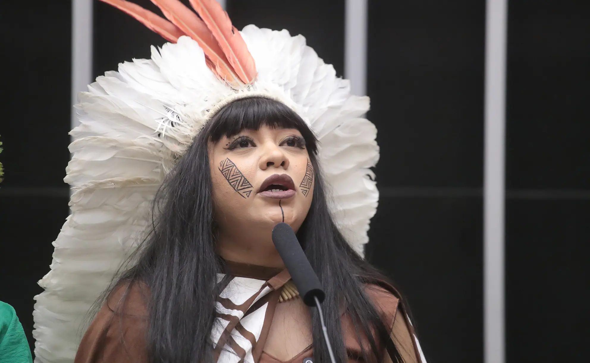 Deputada do Psol quer mudar nome da Câmara para “Câmara dos Deputados e Deputadas”