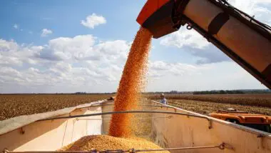 Safra PIB Mato Grosso