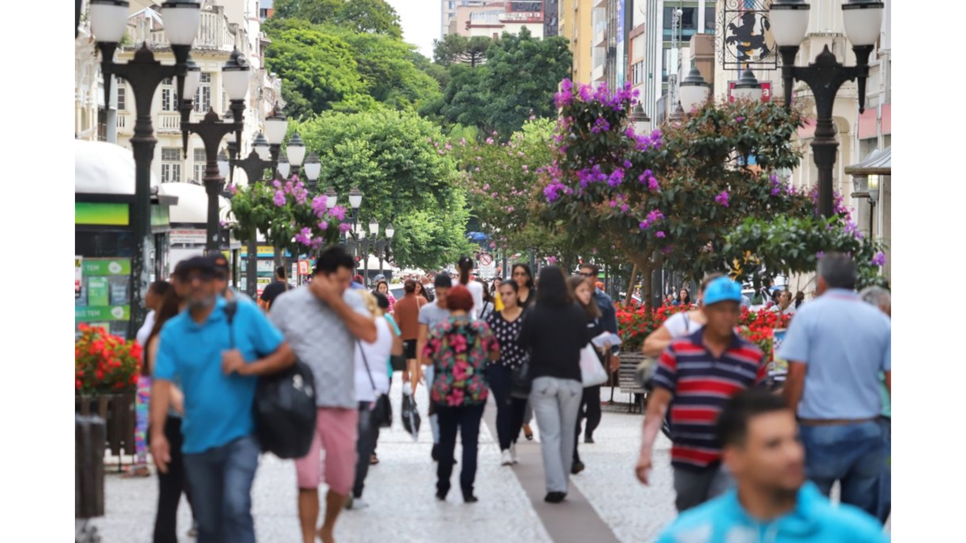 Dados de abril de 2025 da ACP que revelam queda na inadimplência de pessoas físicas, mas manutenção da capital paranaense como líder no número de CPFs e CNPJs negativados.