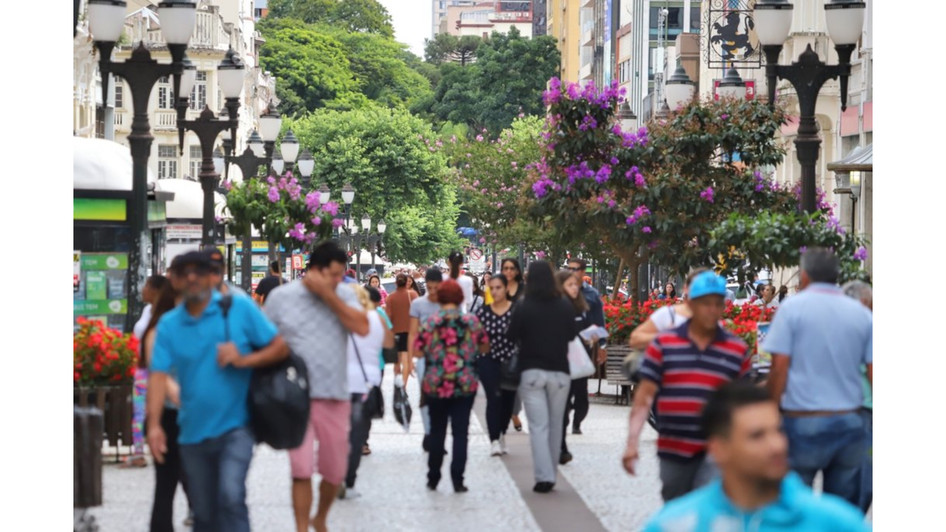 Dados de abril de 2025 da ACP que revelam queda na inadimplência de pessoas físicas, mas manutenção da capital paranaense como líder no número de CPFs e CNPJs negativados.