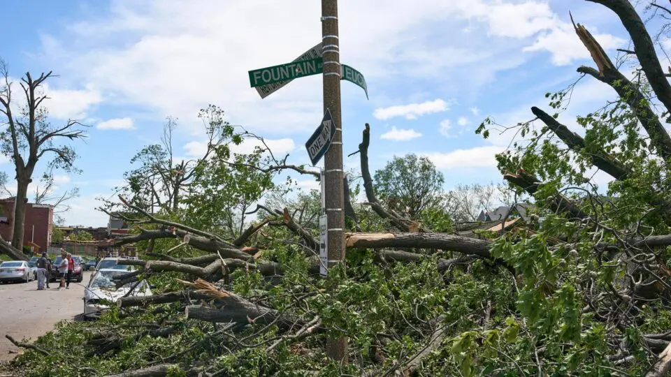 Árvores derrubadas após passagem dos tornados que atingiriam a cidade de St. Louis, no Missouri