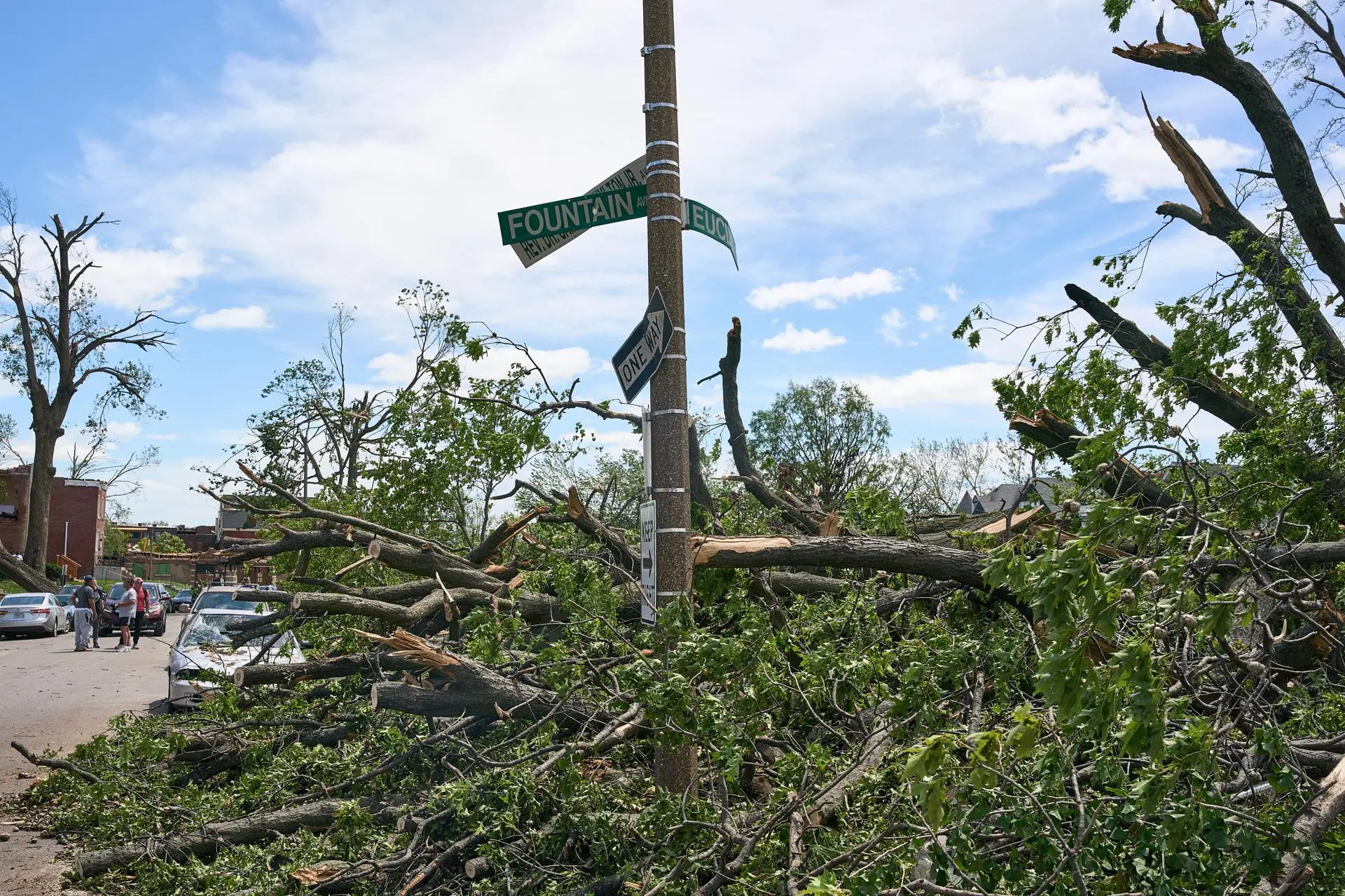 Árvores derrubadas após passagem dos tornados que atingiriam a cidade de St. Louis, no Missouri