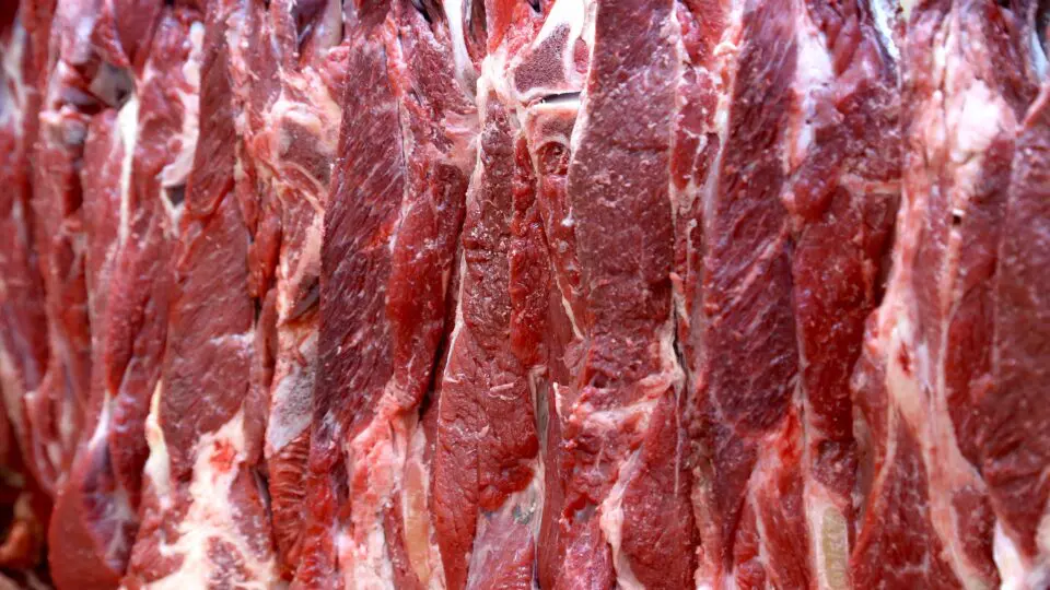 Carne do Brasil para início da exportação ao Japão