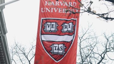 harvard processo trump