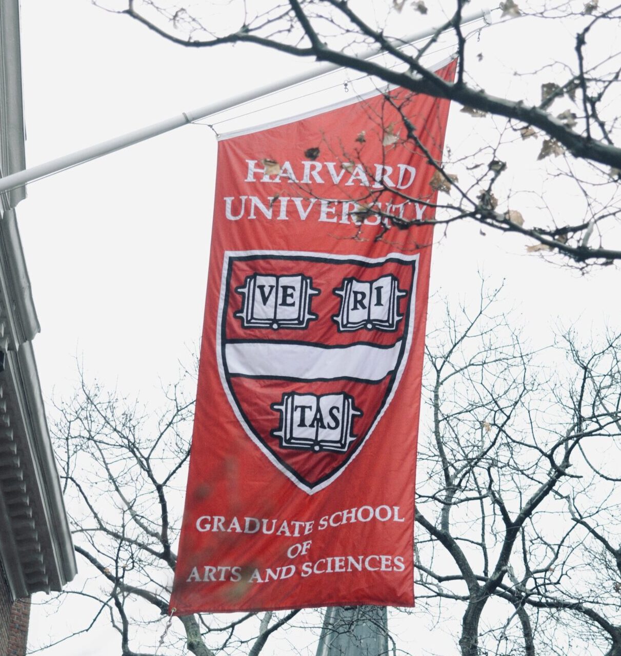 Bandeira com brasão da Universidade de Harvard, nos Estados Unidos