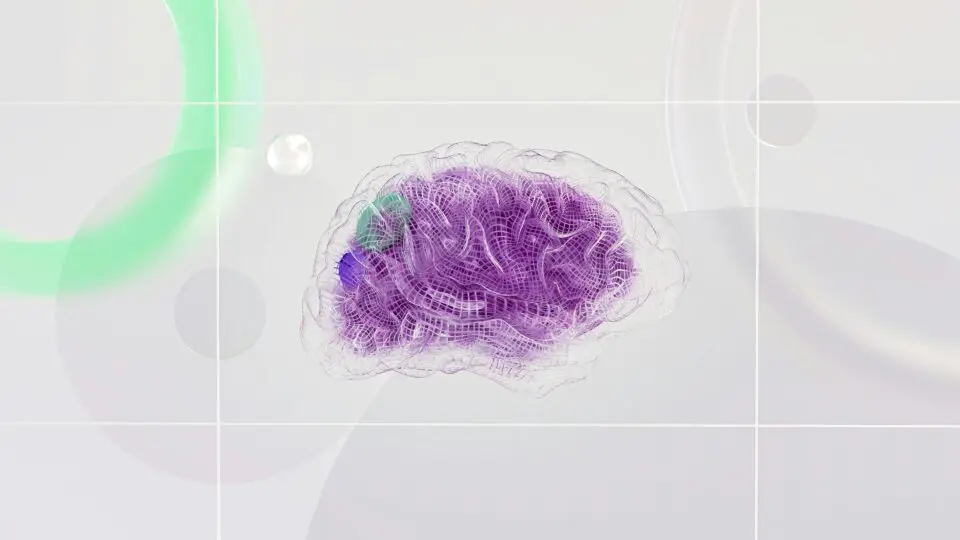 Ilustração de um cérebro na cor roxa, para o estudo do Hericium Erinaceus.