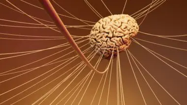 Ilustração de um cérebro com suas ramificações, imitando os neurônios.