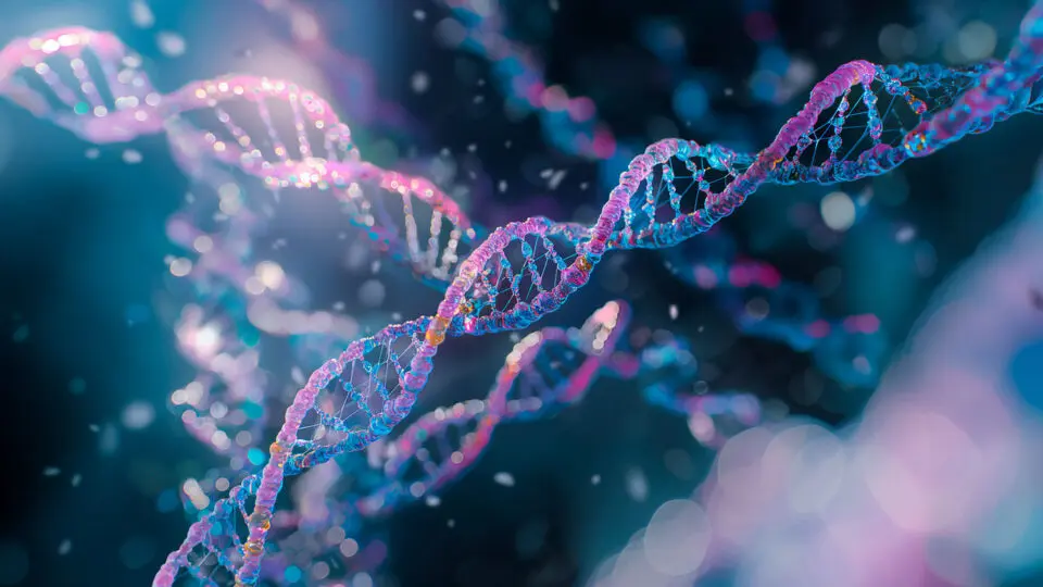 DNA bebê