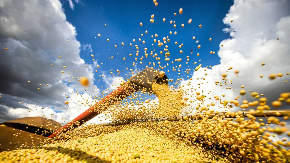 PIB, agronegócio