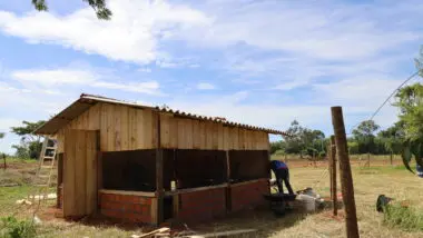 Construção de galinheiros patrocinada pela Itaipu, que foi suspensa após alerta de gripe aviária.