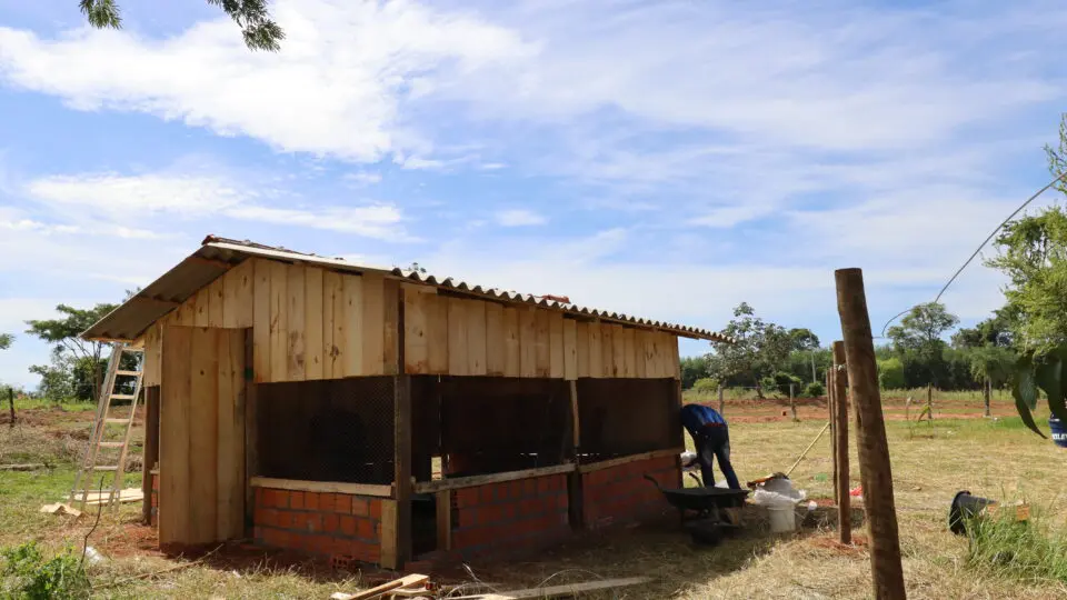 Construção de galinheiros patrocinada pela Itaipu, que foi suspensa após alerta de gripe aviária.