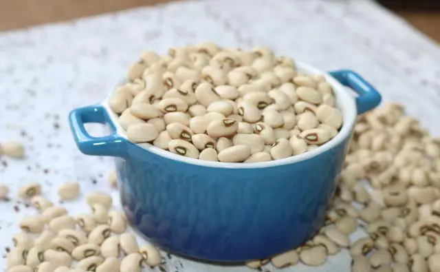 Brasil exportou 400 mil toneladas de feijão em 2024, com receita de R$ 2 bilhões.