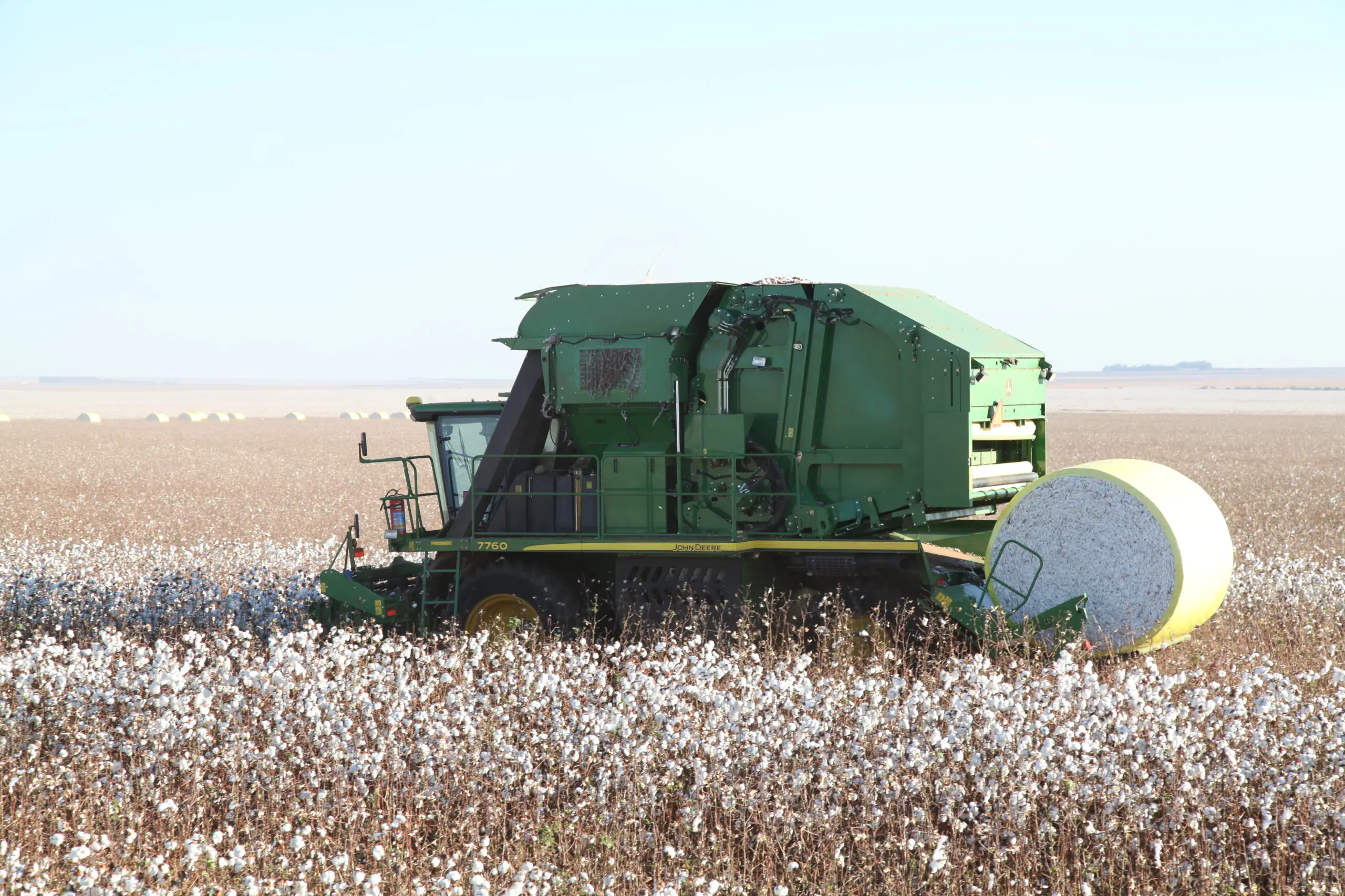 Mato Grosso produziu 2,6 milhões de toneladas de algodão em 2024, o que corresponde a 70% da produção nacional.