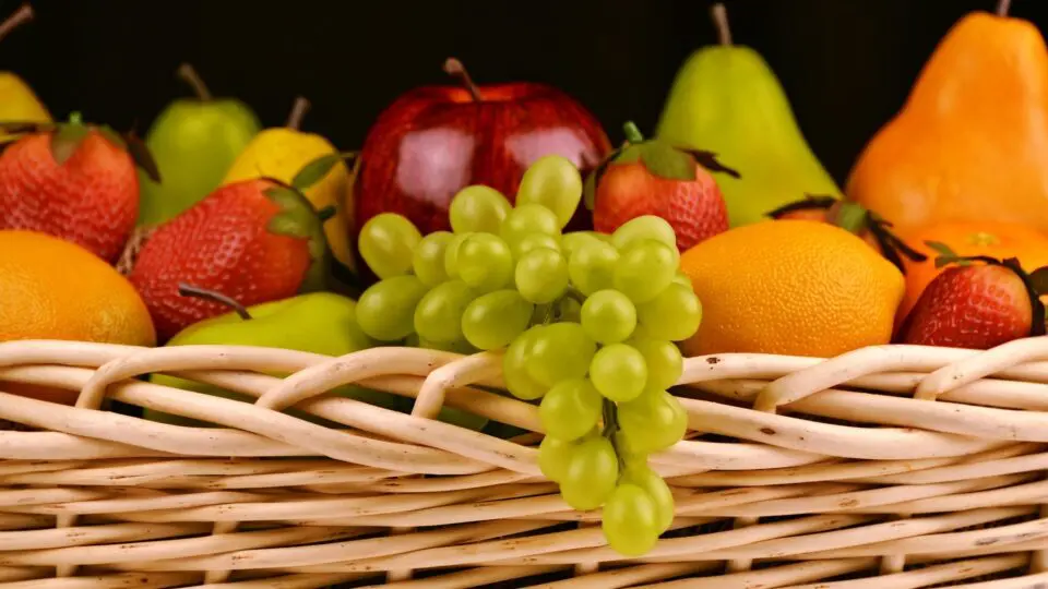 Exportação de frutas corresponde a menos de 1% da produção total do setor