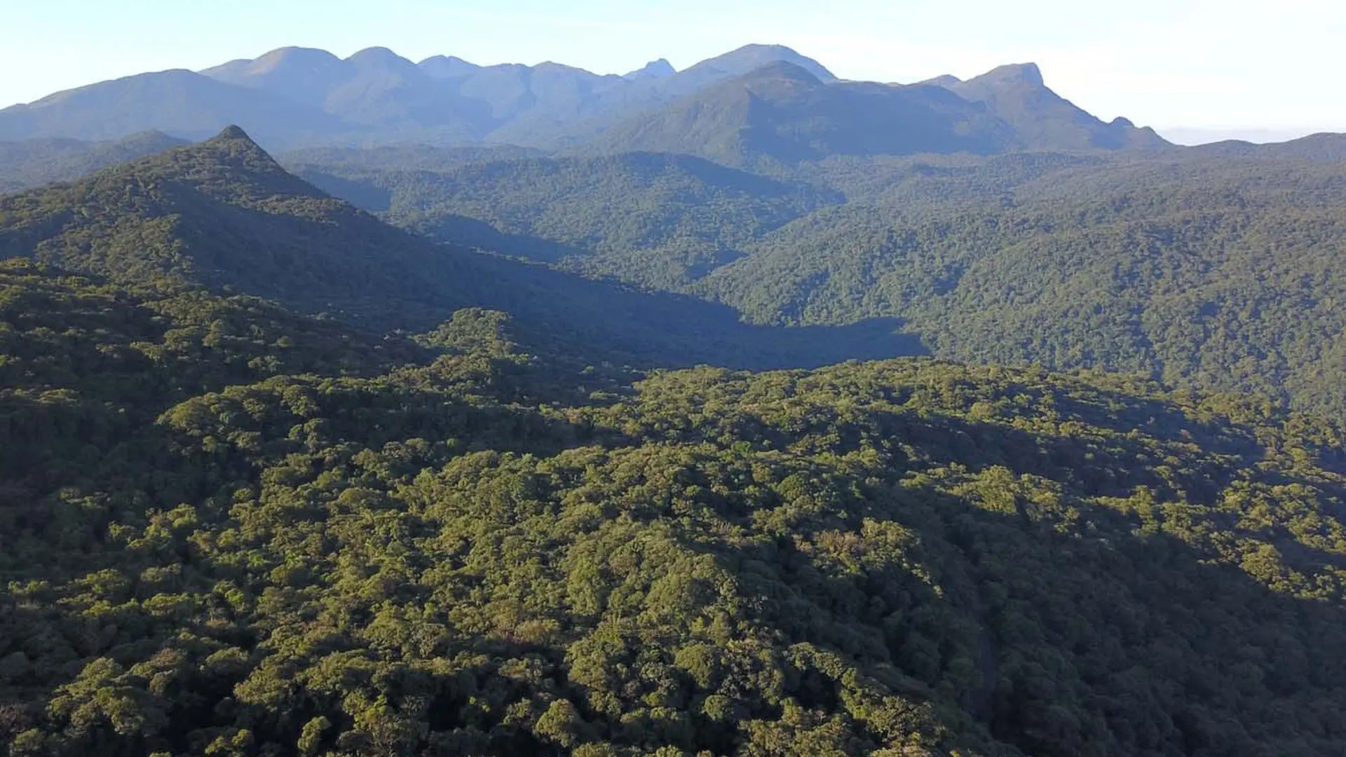 O BRDE, por meio do Fundo Verde, e a Fundação Grupo Boticário de Proteção à Natureza firmaram parceria em 2024 para ações na Grande Reserva Mata Atlântica (GRMA), o maior remanescente contínuo do bioma no Brasil.