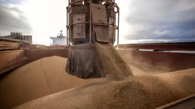 Farelo de soja com areia expõe esquema milionário nos estados de MT, PR e GO.