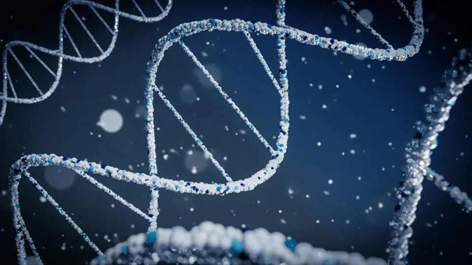 Ilustração de um DNA de doenças raras.