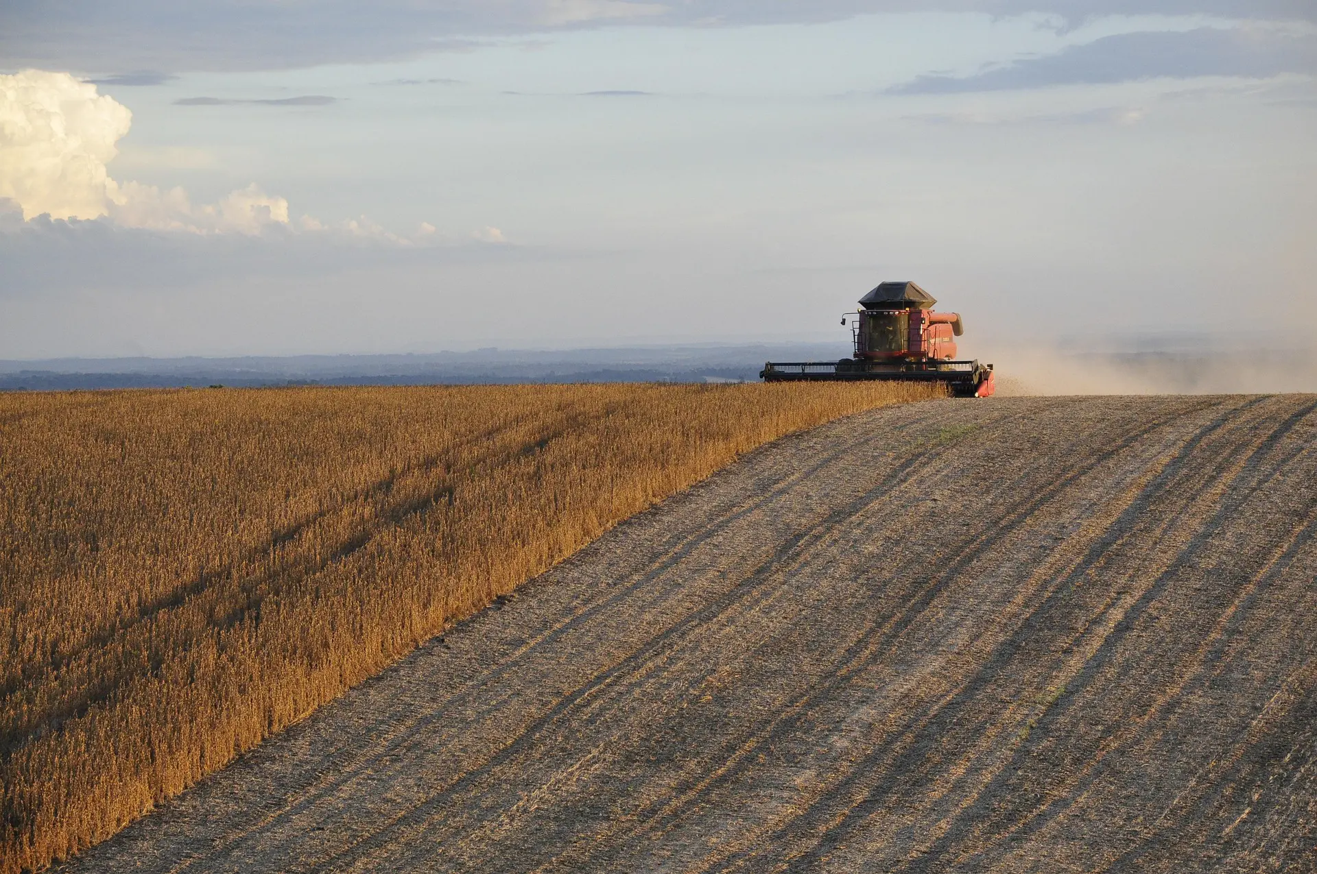 Aumento no preço de fertilizantes e até do combustível dos maquinários agricolas é uma das consequências da guerra entre Israel e Irã