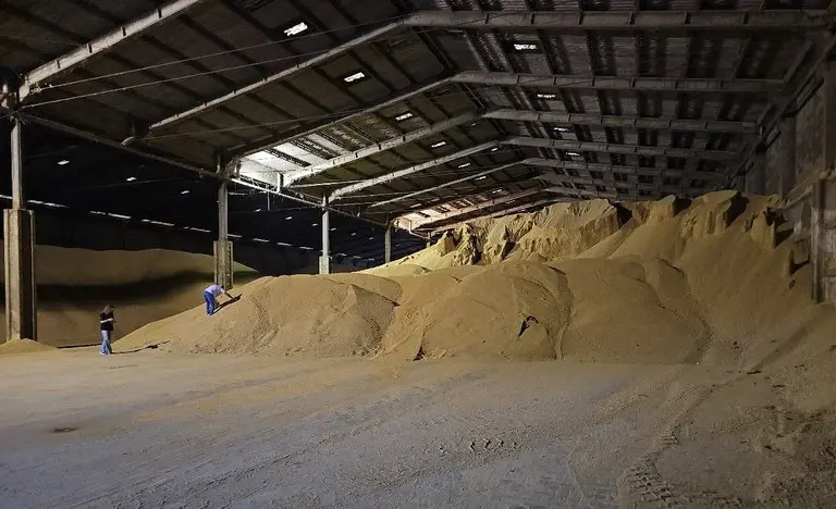 Fraude na soja encontrada em carga do Mato Grosso.