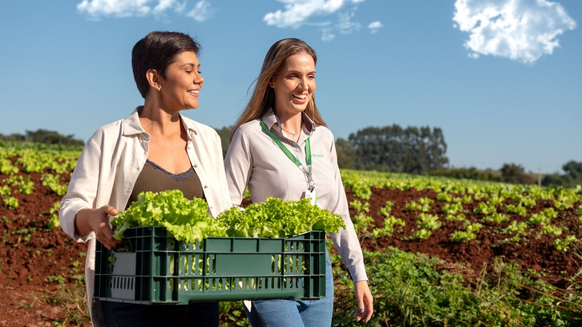 Além de linhas de crédito diversas com recursos do Plano Safra, o Sicredi oferece aos produtores seguro rural e consórcios para aquisição de bens.