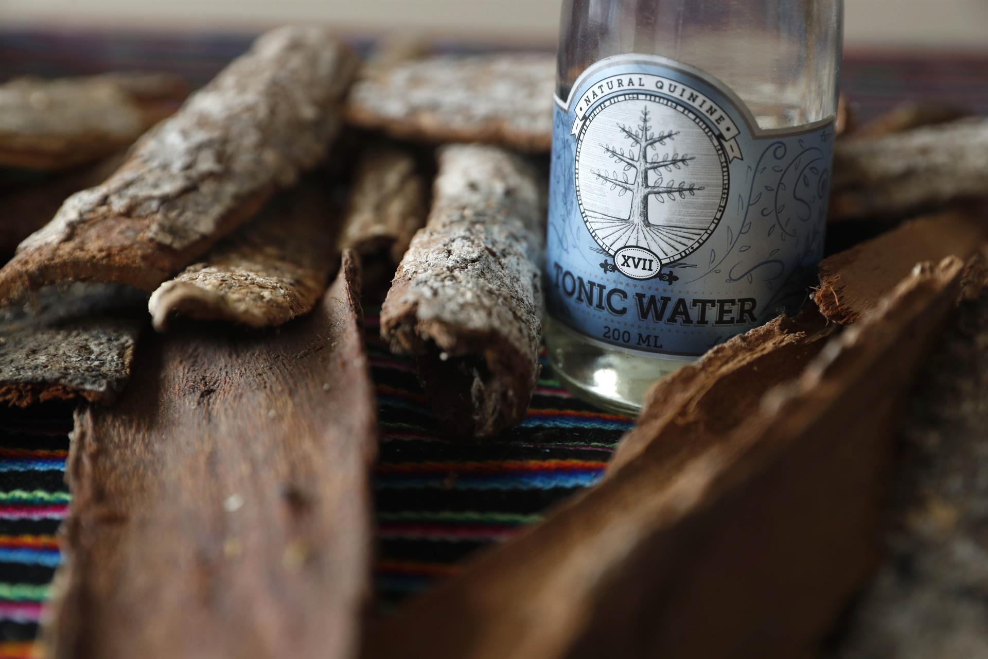 Casca da árvore de cinchona e garrafa de água tônica cujo principal componente é a quinina, extraída da referida árvore, em 5 de agosto de 2020, em Lima (Peru). A árvore de cinchona foi esquecida e agora está ameaçada de extinção, uma catástrofe que está sendo evitada no Peru, onde a espécie aparece no brasão nacional.